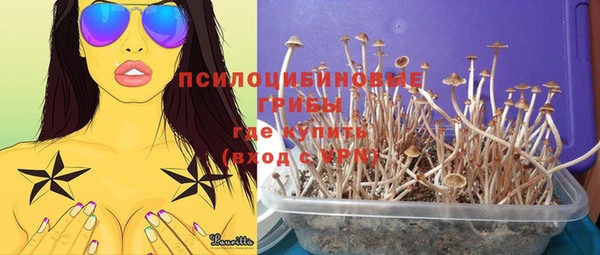 МДПВ Алзамай