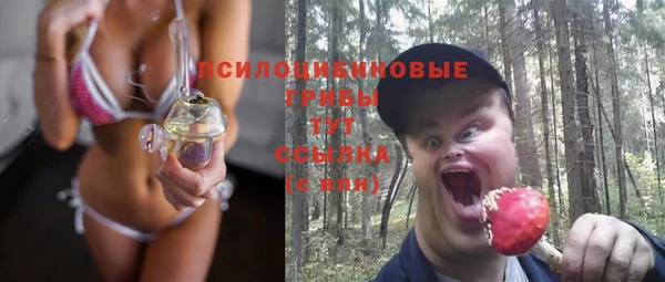 МДПВ Алзамай
